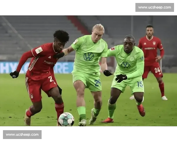 即时足球比分更新 提供全球赛事实时数据分析和比分预测 即时足球比分更新 提供全球赛事实时数据分析和比分预测